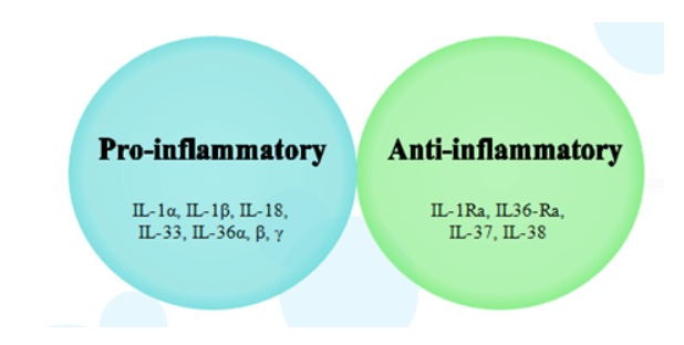 Proinflammatory and Anti Inflammatory Cytokines