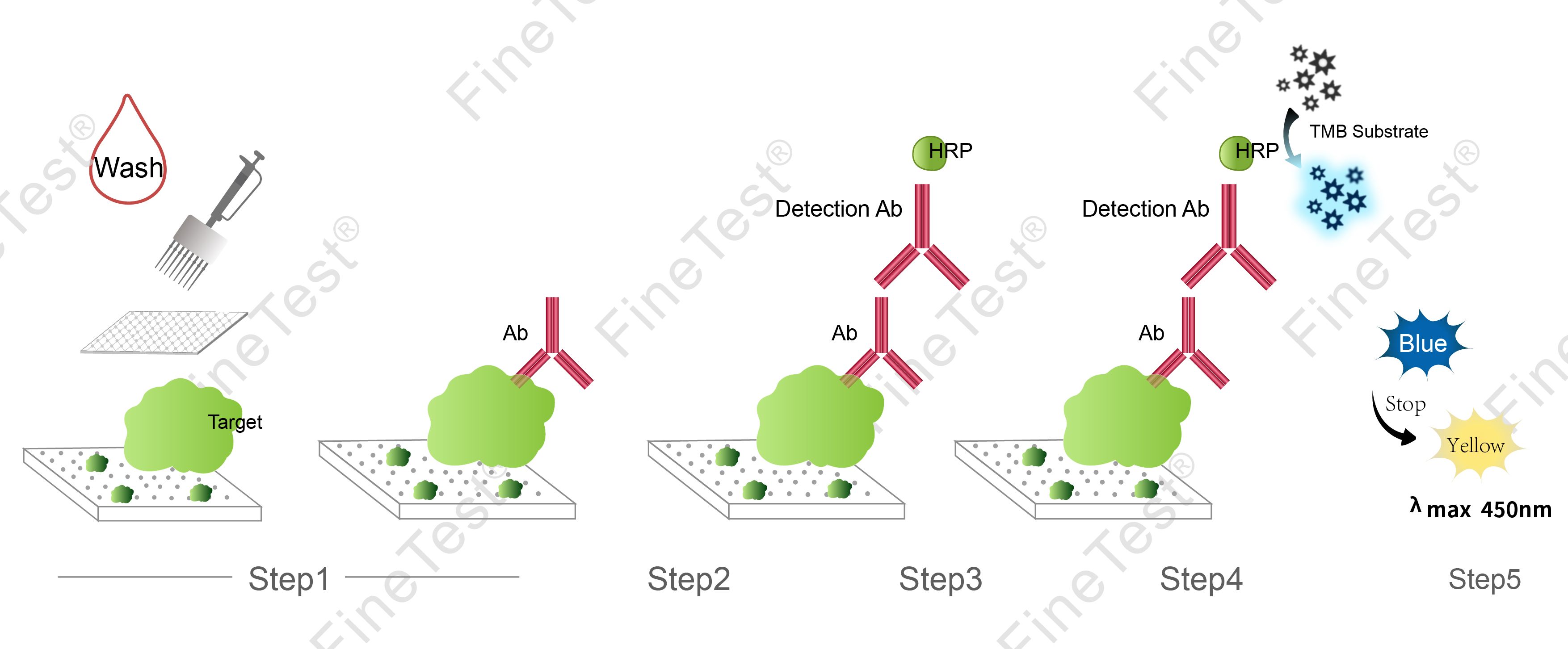 Mouse Anti-IL-17RA (Interleukin-17 receptor A) antibody ELISA Kit