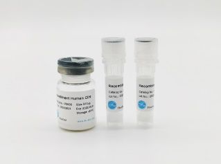 Recombinant Mouse ITGB6