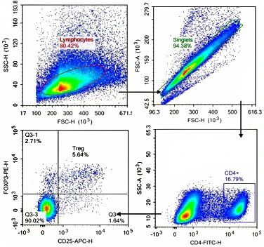 Flow Cytometry Protocol for Intracellular Staining