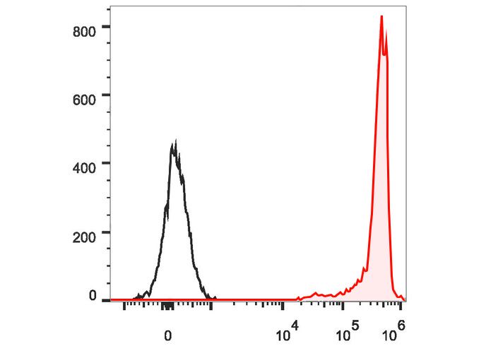 PE Anti-Rat CD90/Mouse CD90.1 Antibody(OX-7)
