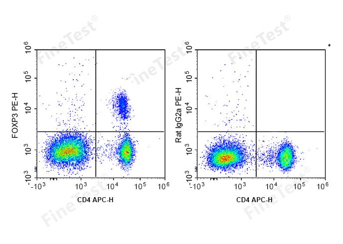 PE Anti-Mouse/Rat Foxp3 Antibody(FJK-16s)