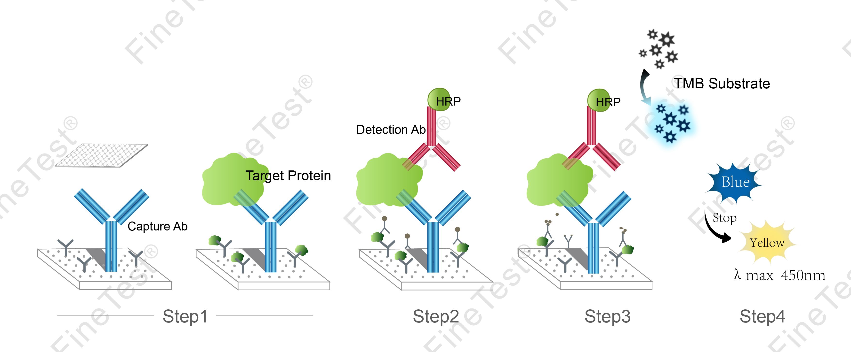 Human IGJ(Immunoglobulin J chain) ELISA Kit