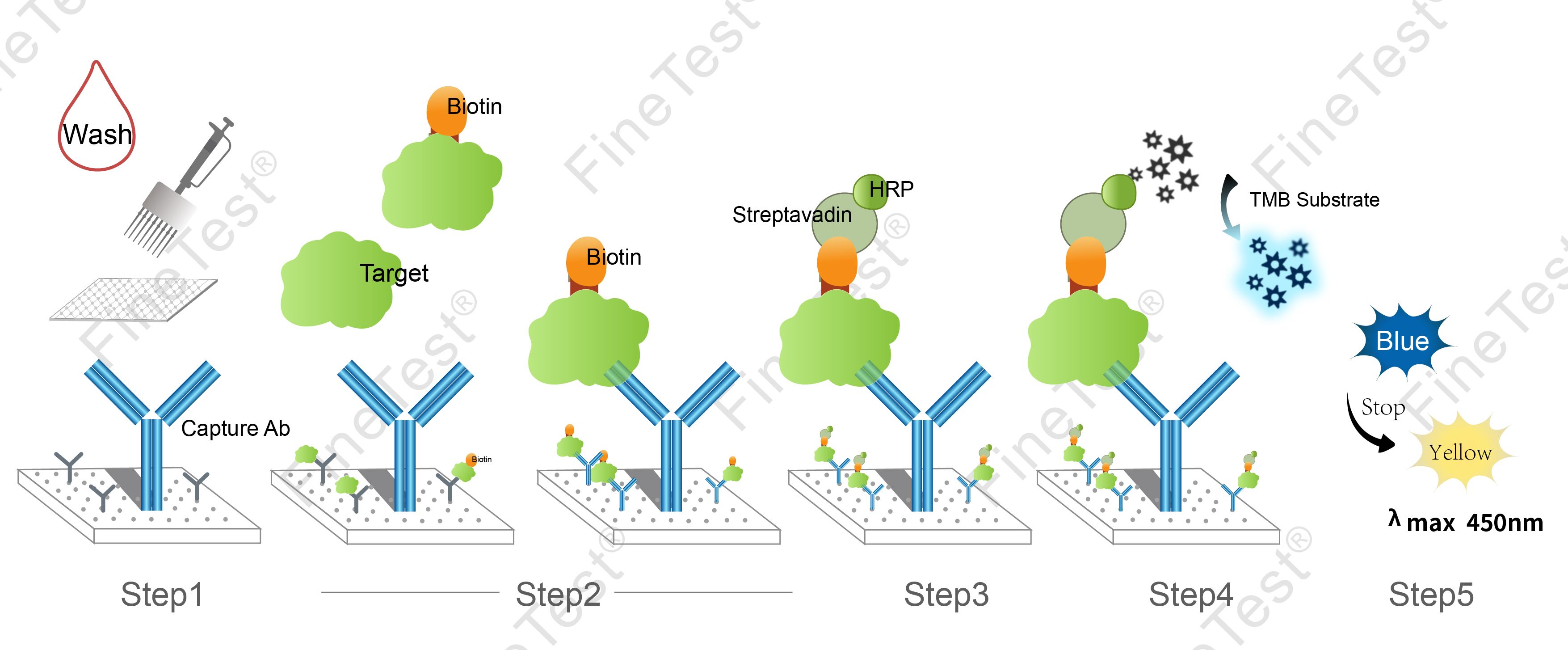 Human LZMg(Lysozyme G) ELISA Kit