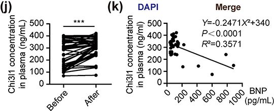 [Cited FineTest ELISA Kit] Current Research on Myocardial Ischemia–reperfusion Injury
