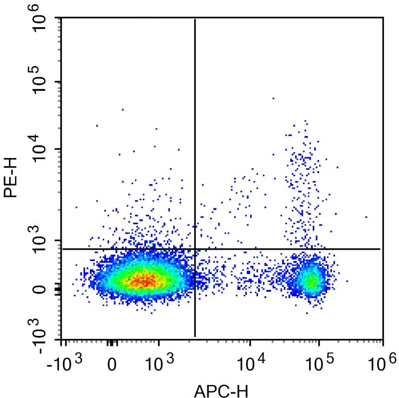 PE Anti-Mouse CD25 Antibody(PC-61.5.3)