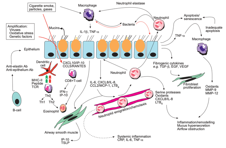 Pathogenesis