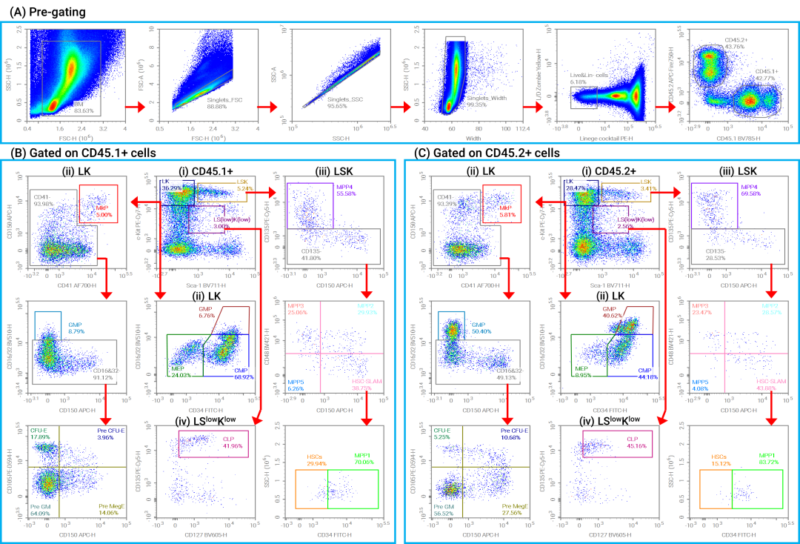 HSPC/HSC Heterogeneity Analysis by 14-Color Full Spectrum Flow Cytometry