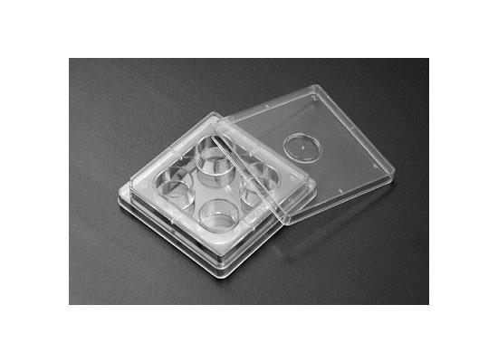 Cell Culture Plate 4well