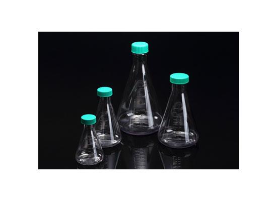 Erlenmeyer Flask