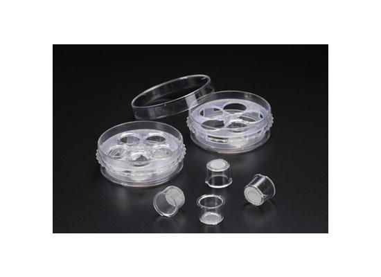 Multi Insert Petri