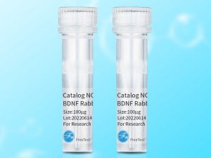 Signal Enhancing Series Antibodies