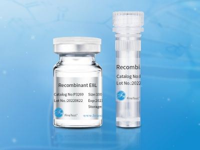 recombinant protein