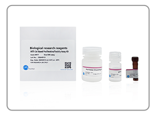 MTT Assay Kit