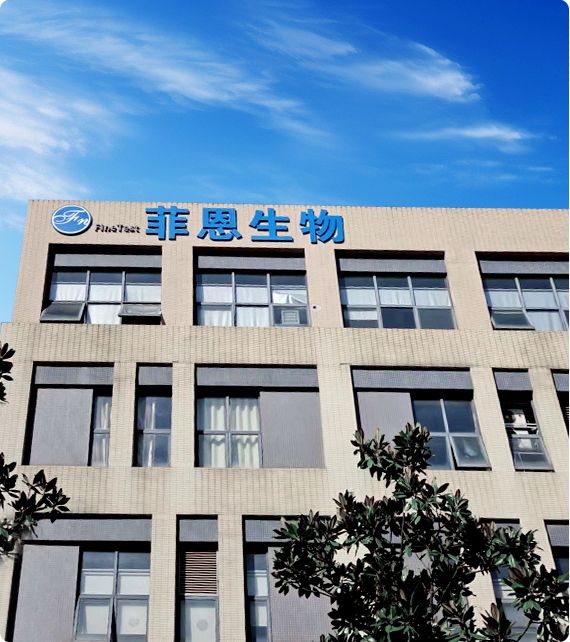 FineTest Headquarter