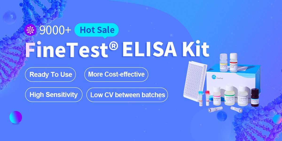 High Sensitivity ELISA Kit