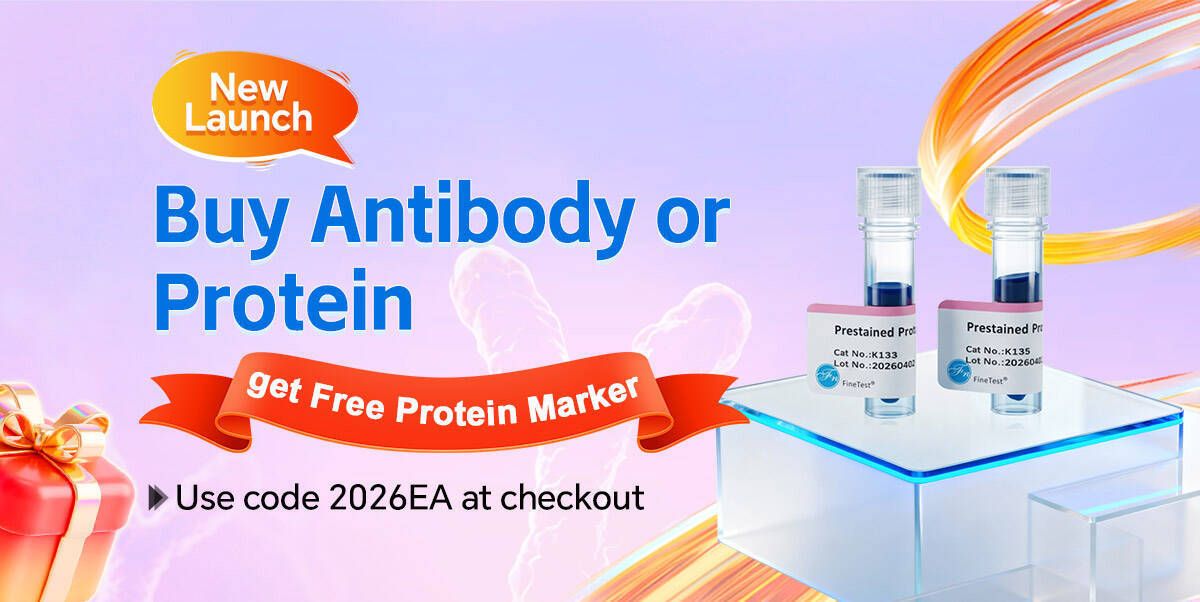 Buy Antibodies/Proteins with Free Protein Marker