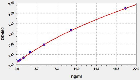 EH20055 Standard Curve Image