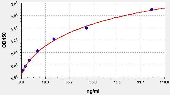 EH5324 Standard Curve Image